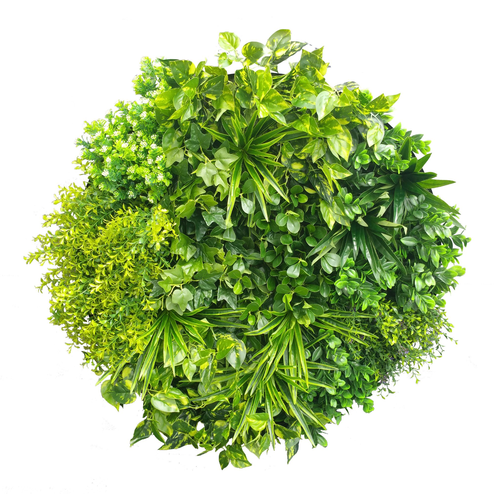 Artificial Green Wall Disc Art 80cm Mixed Aloe Vera (Onyx Black)