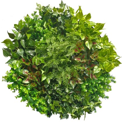 Artificial Green Wall Disc Art 80cm Mixed Fern (Onyx Black)