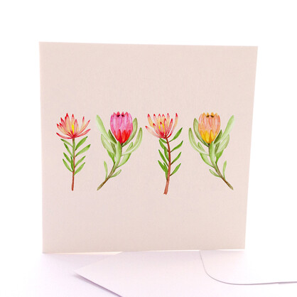 Four Proteas