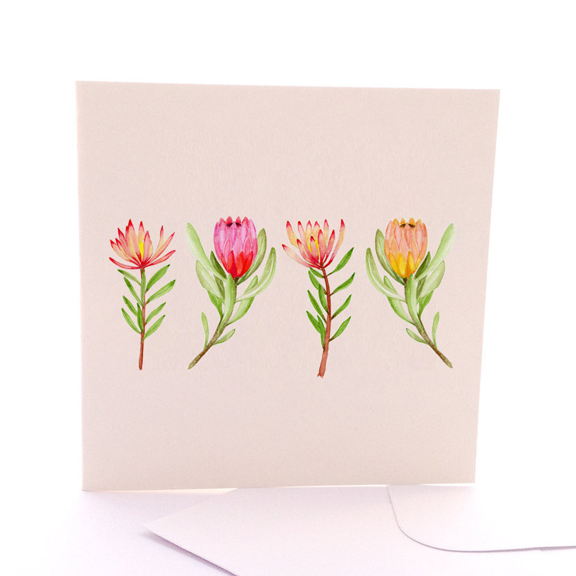 Four Proteas
