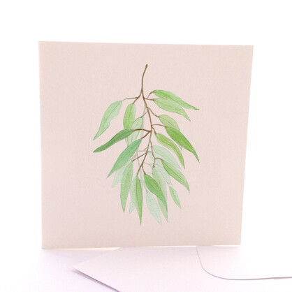 Gum Leaf Branch