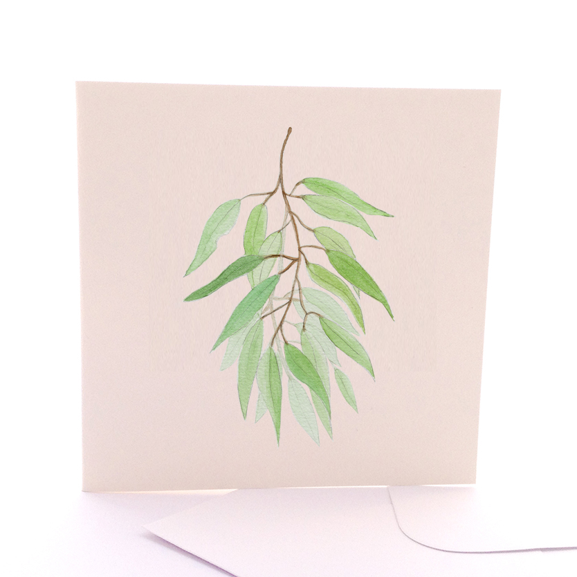 Gum Leaf Branch