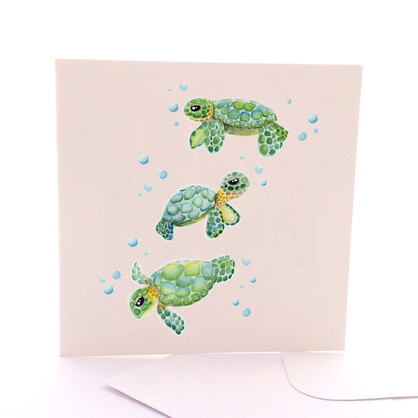 Baby Sea Turtles
