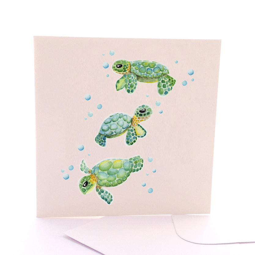 Baby Sea Turtles