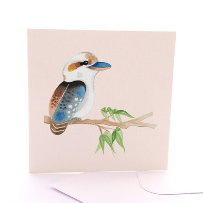 Baby Kookaburra
