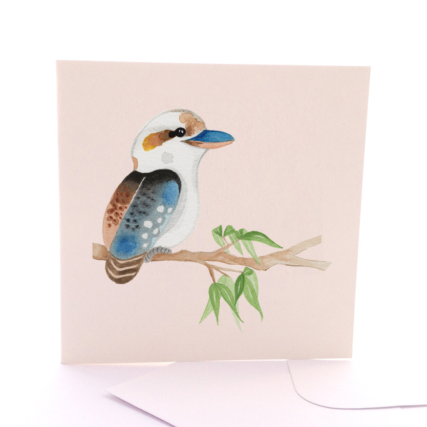 Baby Kookaburra