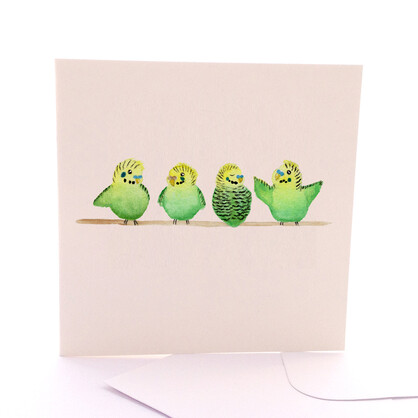 Baby Budgies