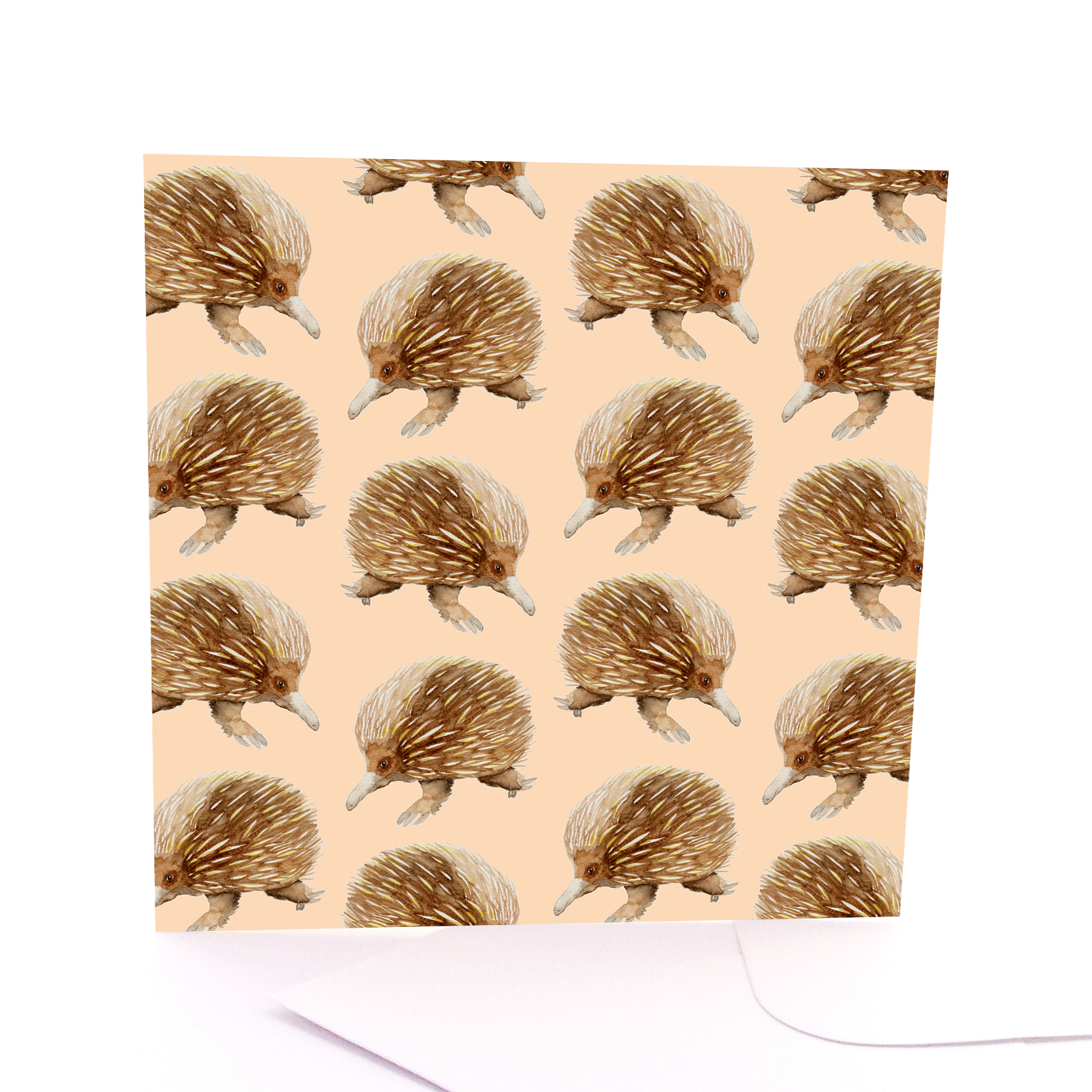 Echidna Stampede