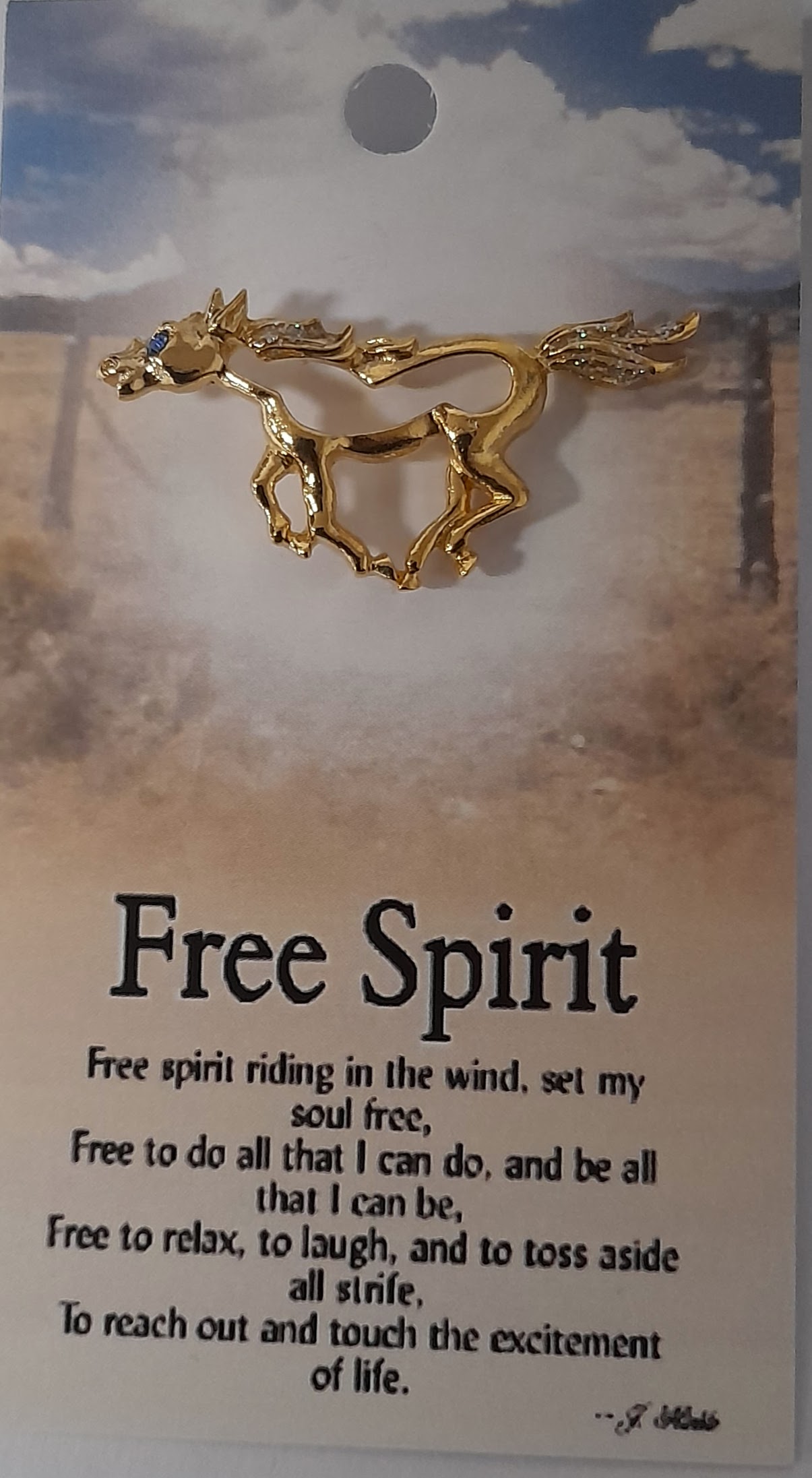 7092 Free Spirit Angel pin