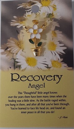 930 Recovery Angel pin