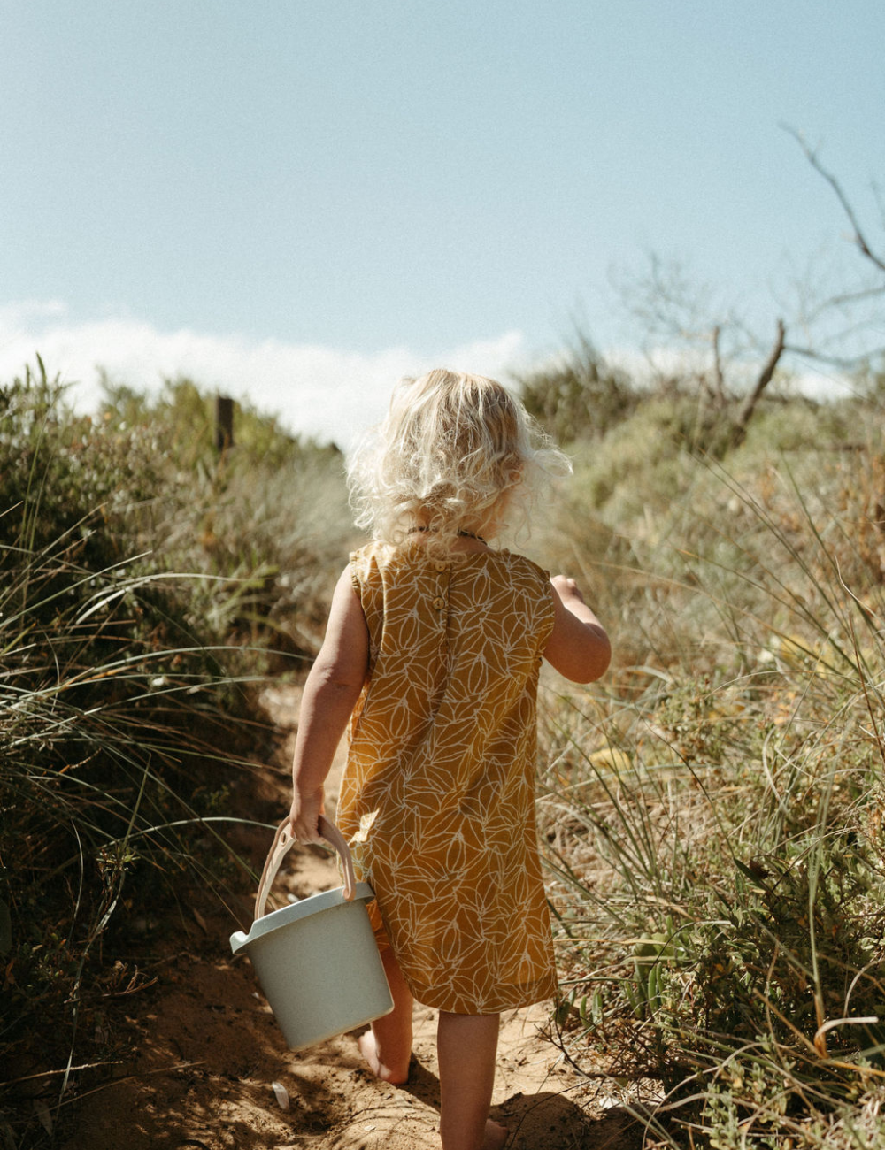Fogo Straight Dress | Mustard Seed