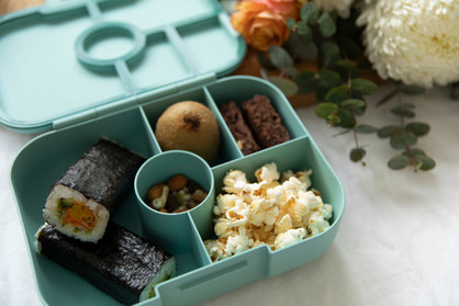 Bento Lunchbox Teal Turtles