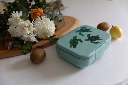 Bento Lunchbox Teal Turtles