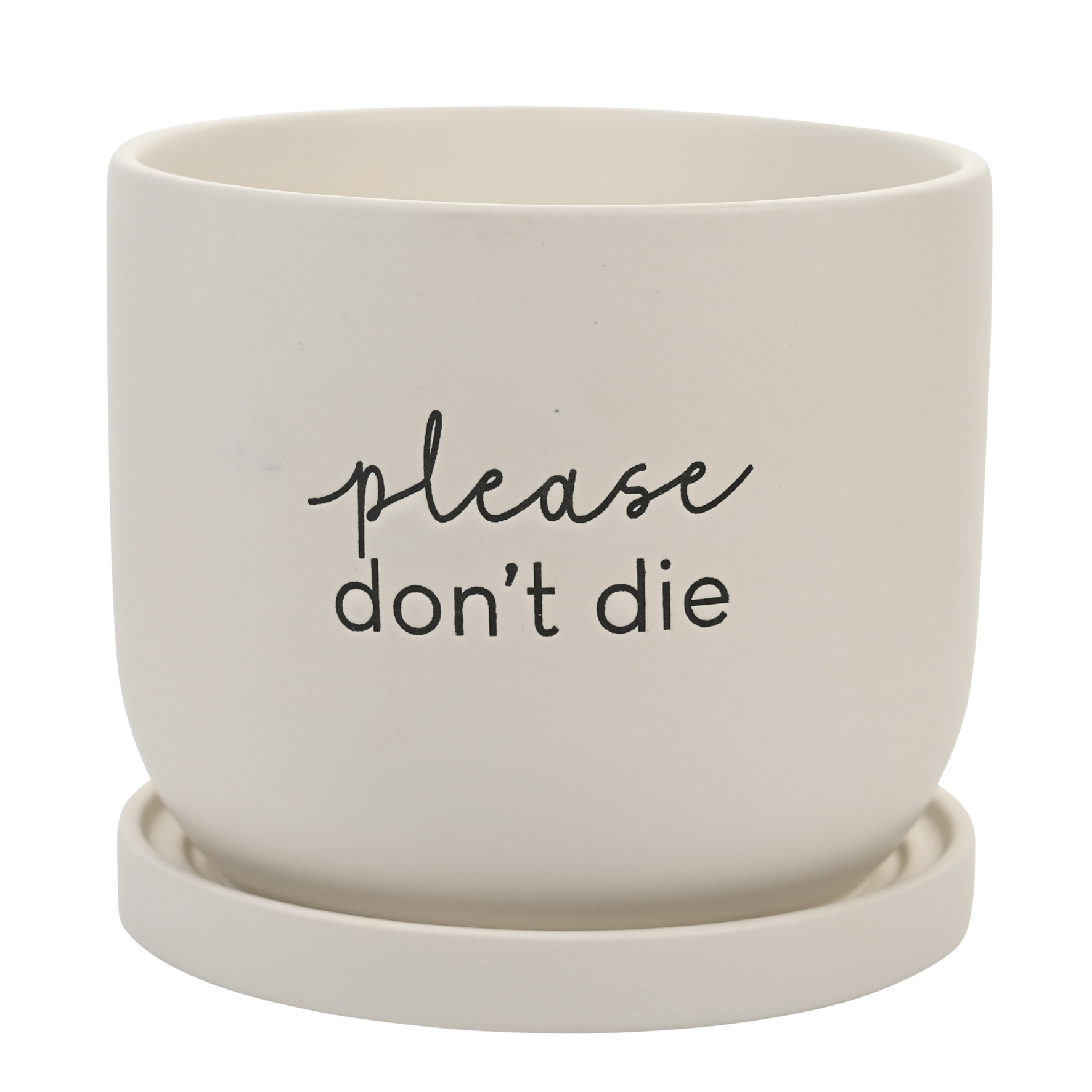 Wholesale Please don't die planter with tray Nibble Distributors