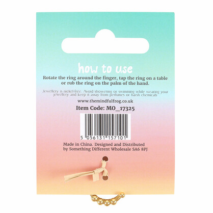 Mindful Moments fidget ring
