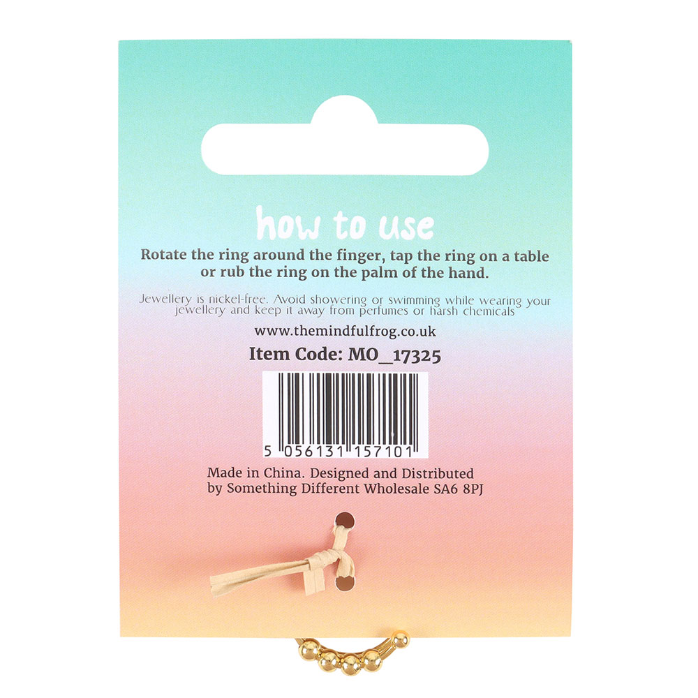 Mindful Moments fidget ring