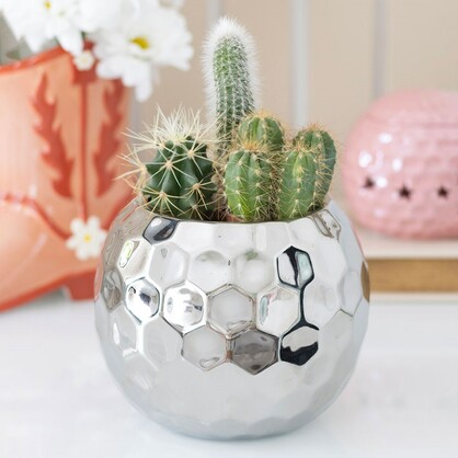 Silver Disco Ball planter