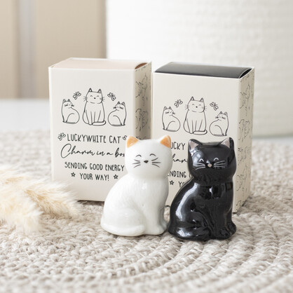 Lucky Cat charms in a display (24)