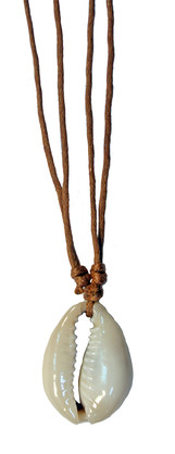 P7023  COWRIE SHELL CHOKER W/ NATURAL CORD