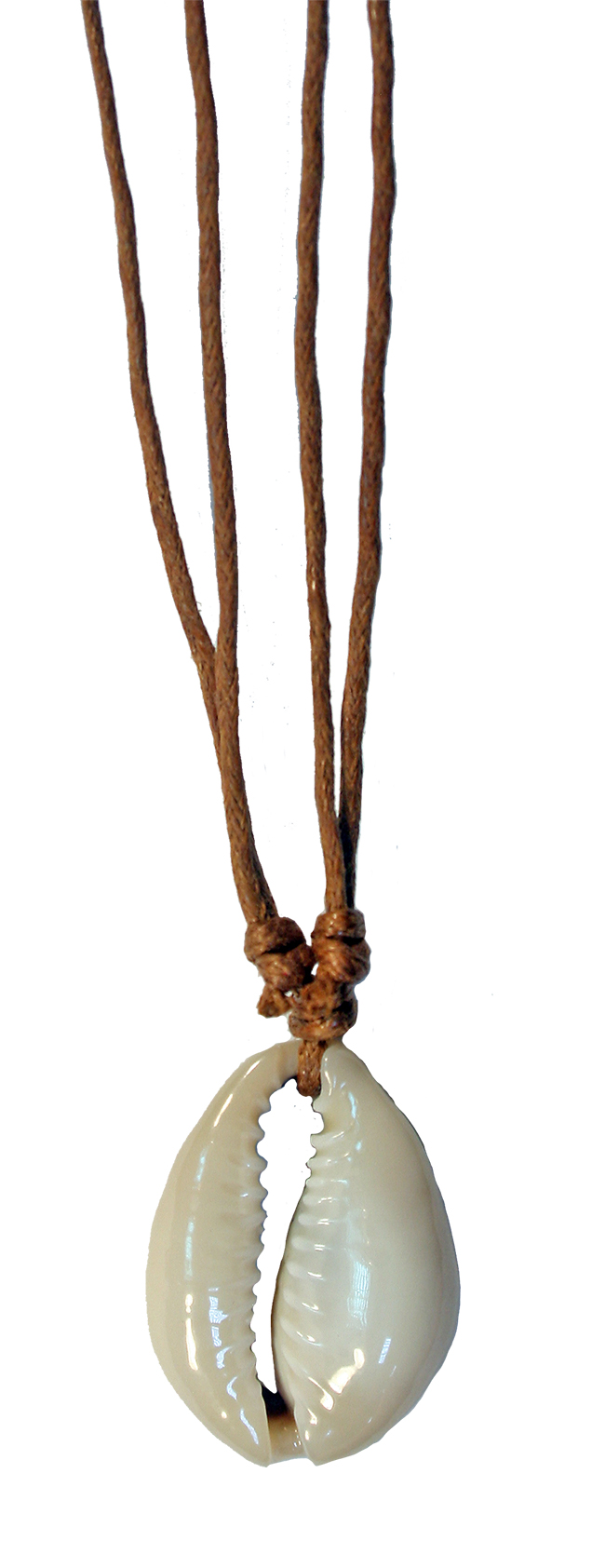 P7023  COWRIE SHELL CHOKER W/ NATURAL CORD