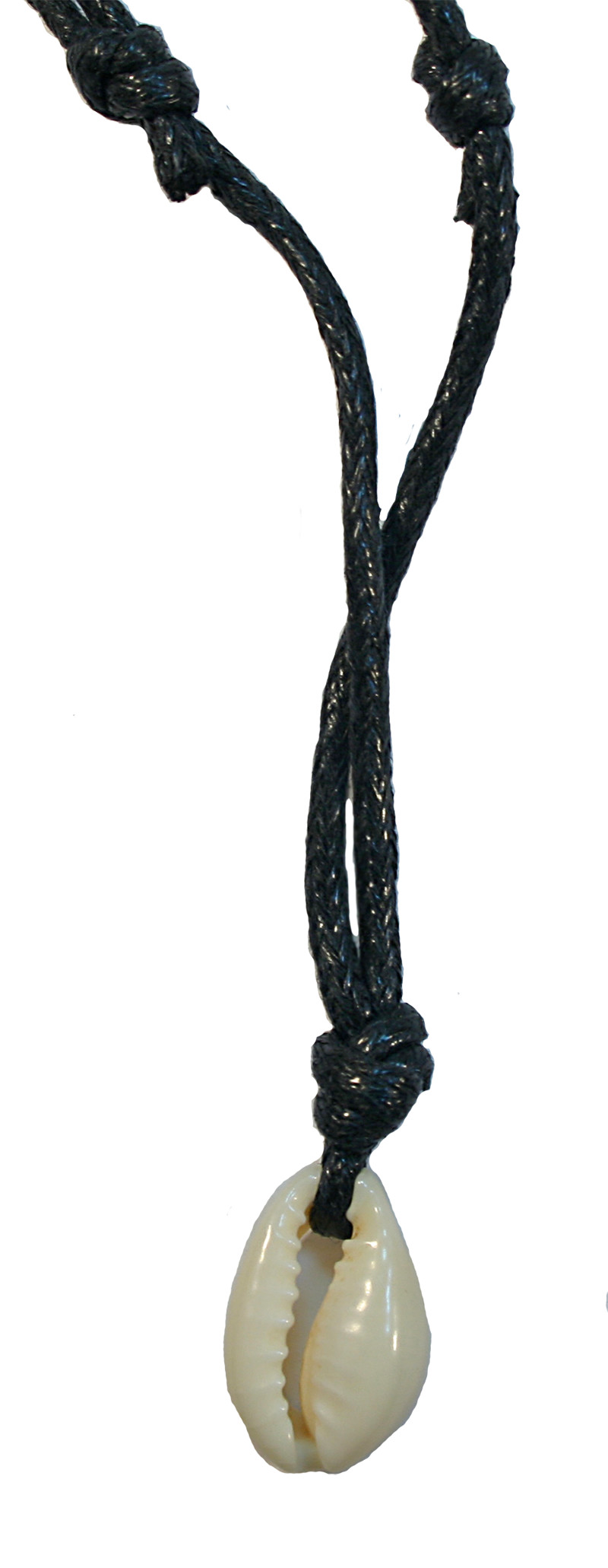 P6795 COWRIE SHELL ON BLACK ADJUSTABLE CORD