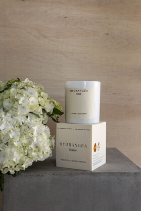 Hydrangea Large Candle | Hyacinth & Spring Freesia | Language of Flowers