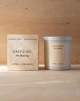 Daffodil Large Candle | Daffodil & Peach Nectar | Language of Flowers