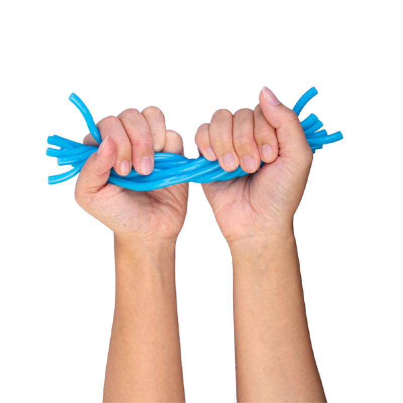 Wholesale Stretchy Noodle - Blueberry Express - Fieldfolio