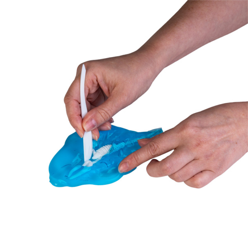 Sea Animal Slime Dig Out