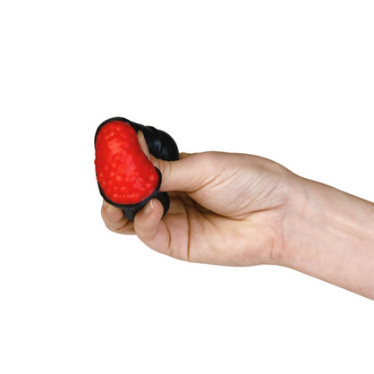 Fidget Sushi Platter