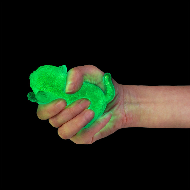 Smoosho's Super Squeeze Glow-in-the-dark Cat