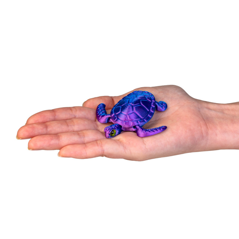 3D Sea Turtle