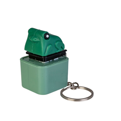 Fidget Sound Clicker Keychain Frog