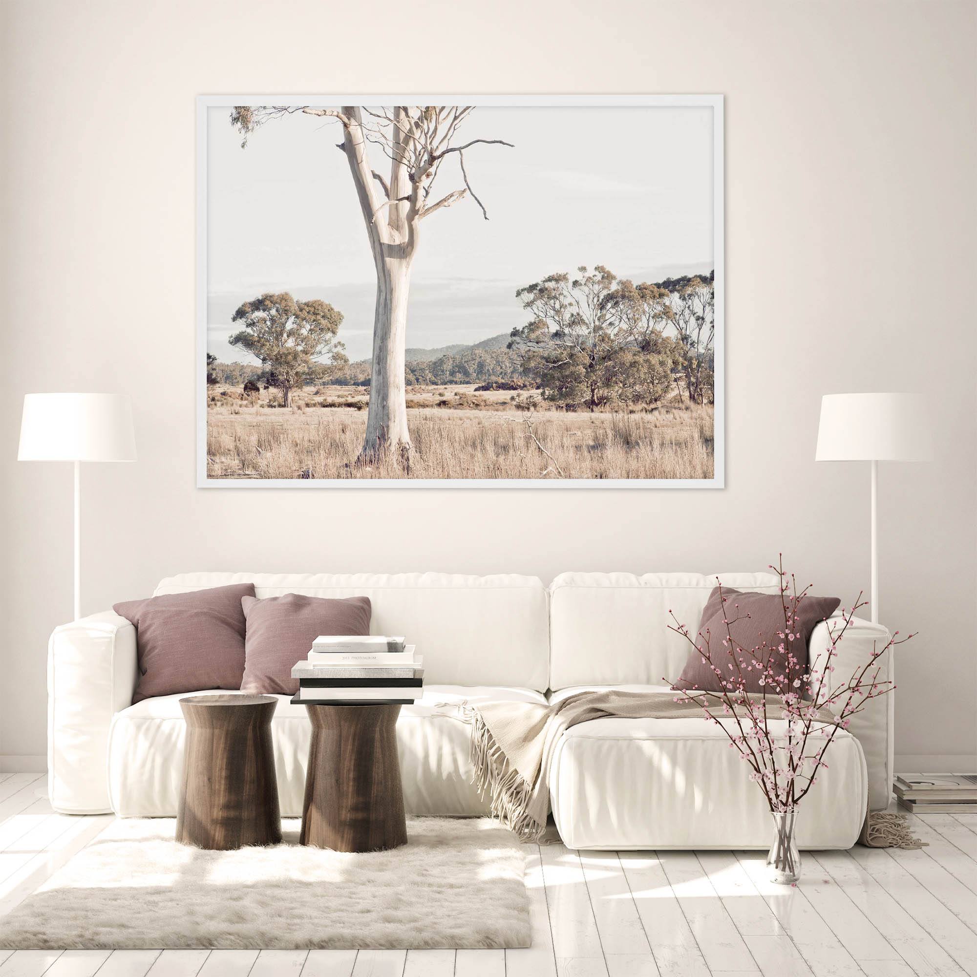 Tasmanian Gum - Framed Print