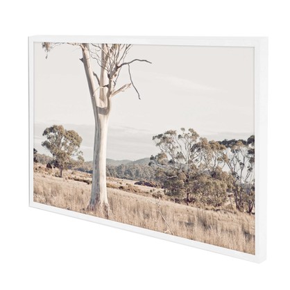Tasmanian Gum - Framed Print