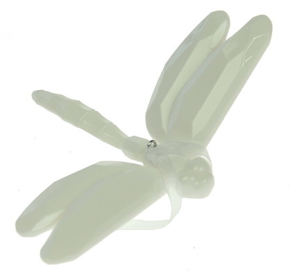 A19002 DRAGONFLY : WAS $32_Acrylic SET OF 8
