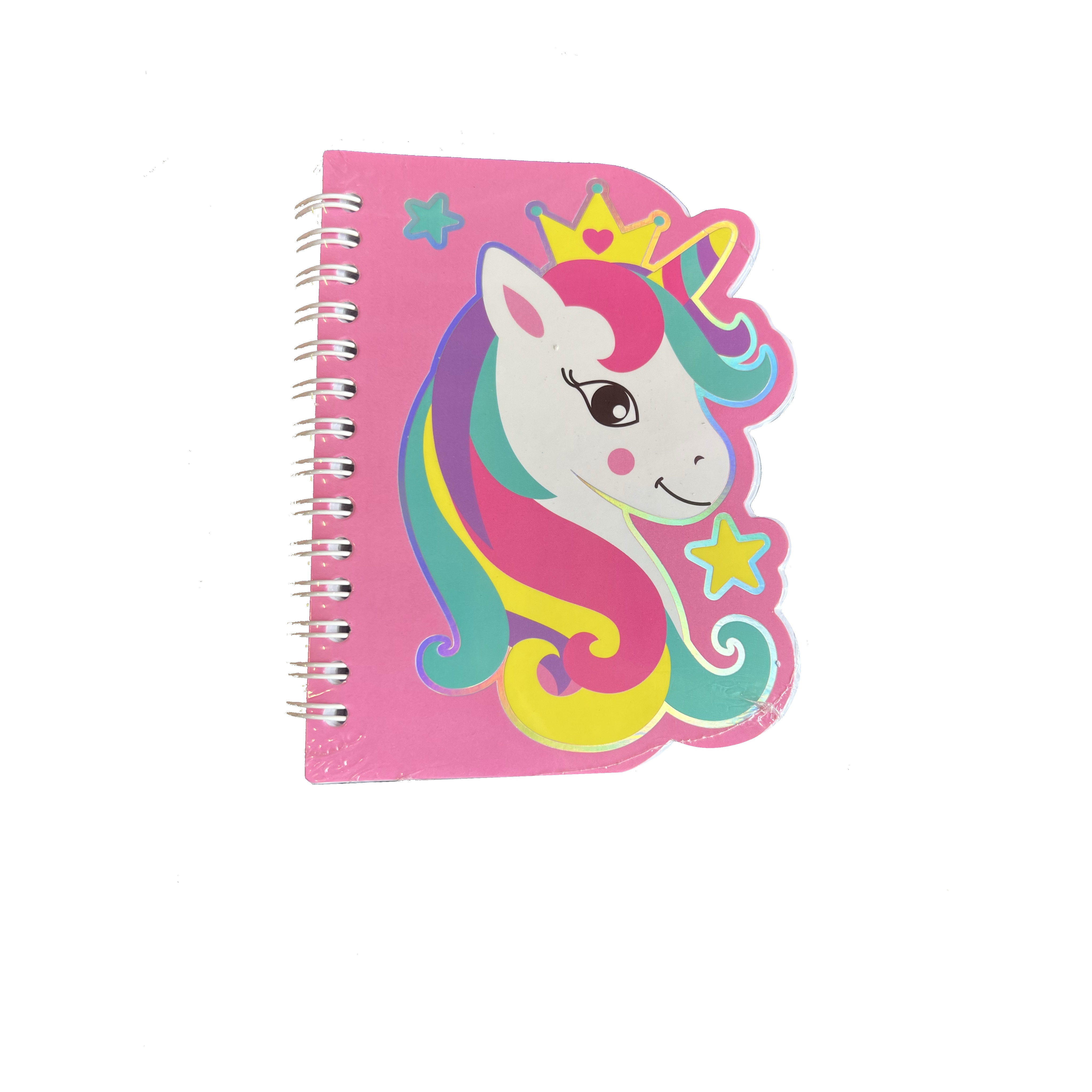 Spiral Notebook 10 Pack