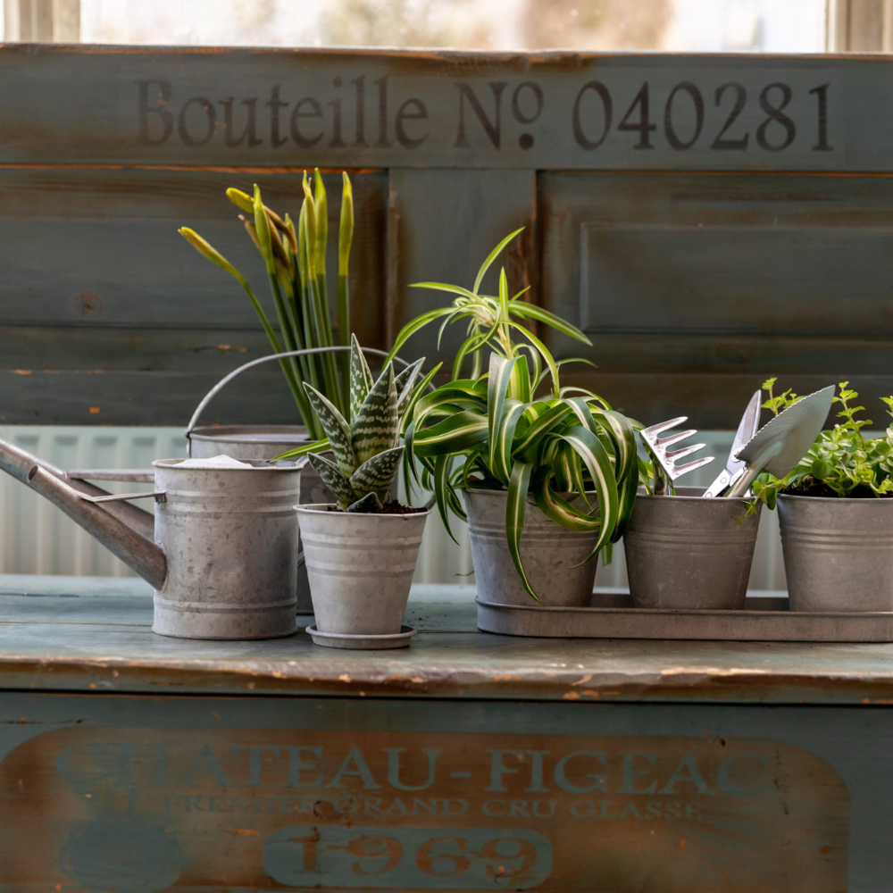 Wholesale ESSCHERT DESIGN Aged Zinc Pot Set With Tray - Core Supply ...