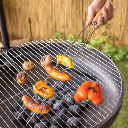 ESSCHERT DESIGN Wide Double Prong BBQ Skewer