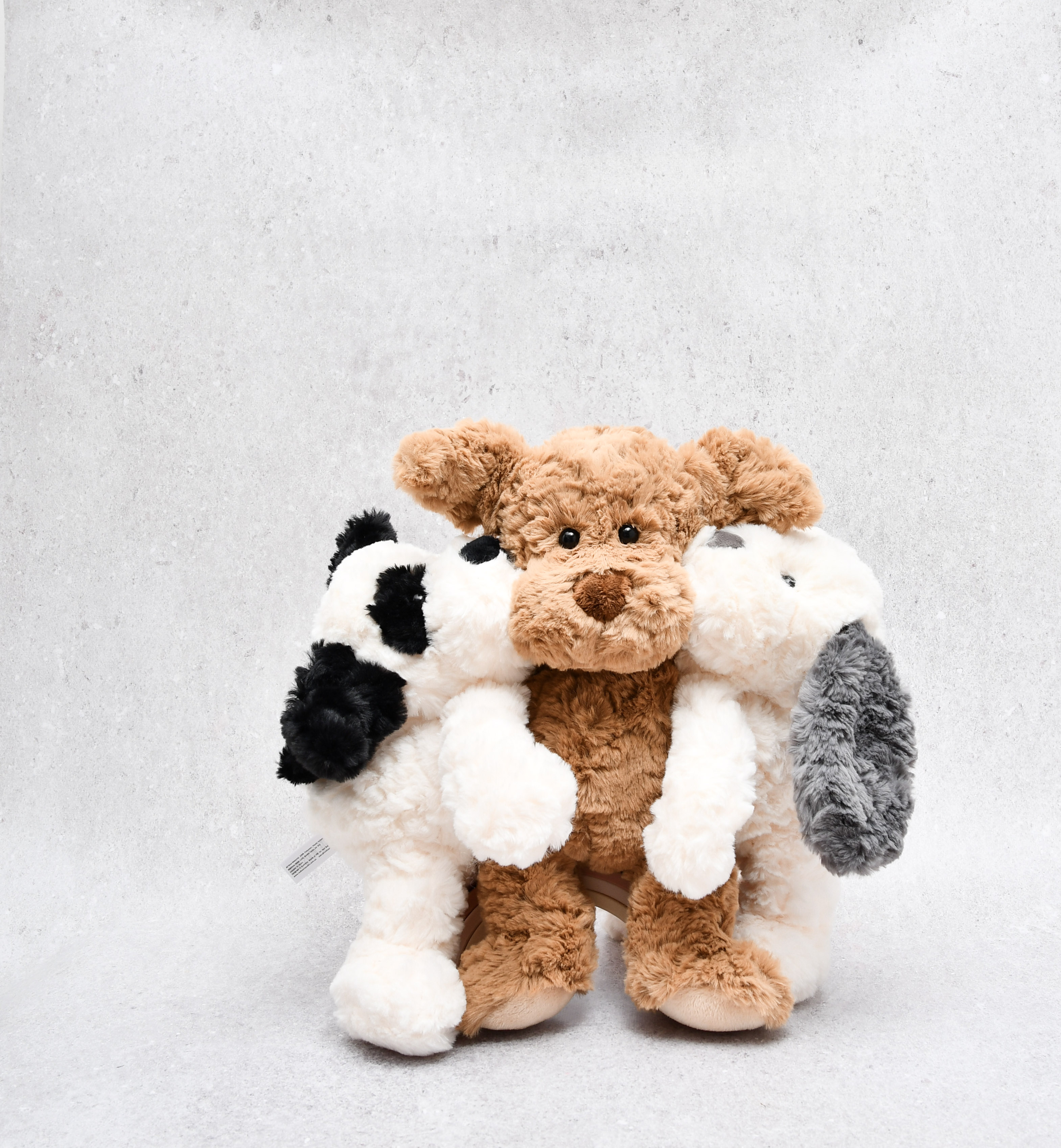 Petite Vous Harry the Dog Soft Toy