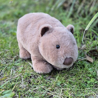 Petite Vous Walter the Wombat Soft Toy
