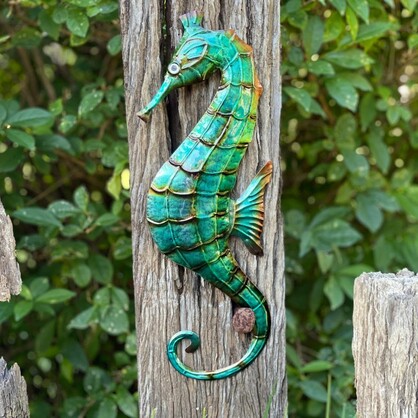 Lone Seahorse LG