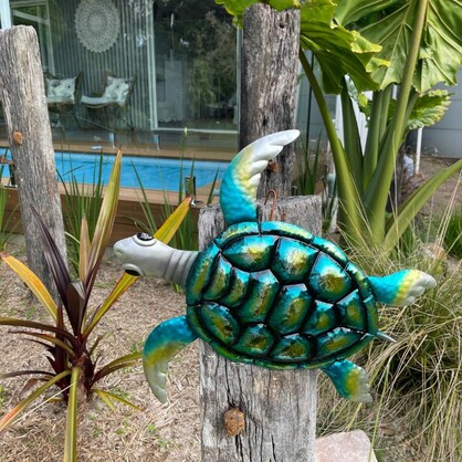 Sea Turtle