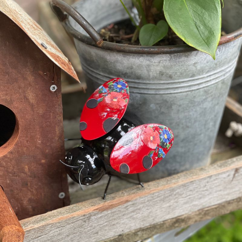 Dainty Ladybird - Sold as a box of 3pcs