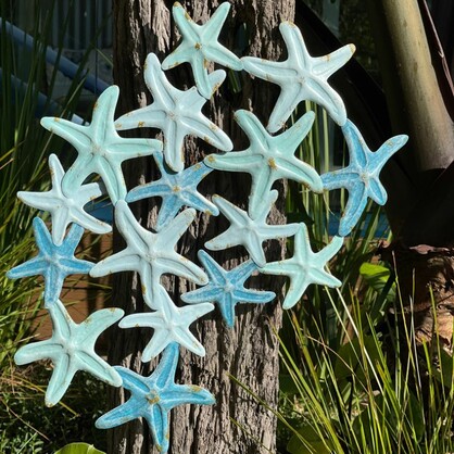 Starfish Galaxy - Sold as a box of 4pcs