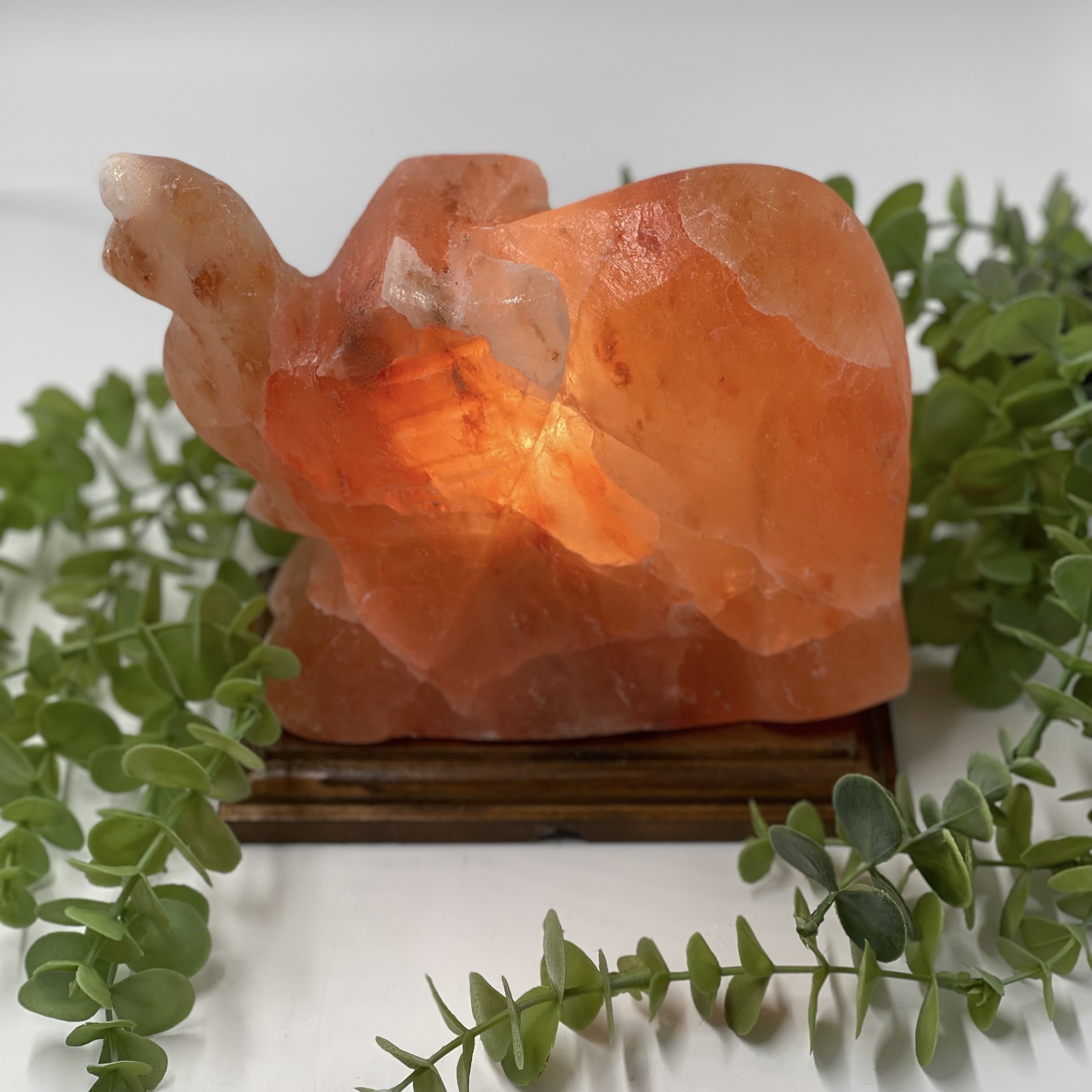 Elephant Salt Lamp