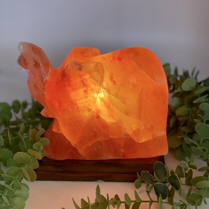 Elephant Salt Lamp