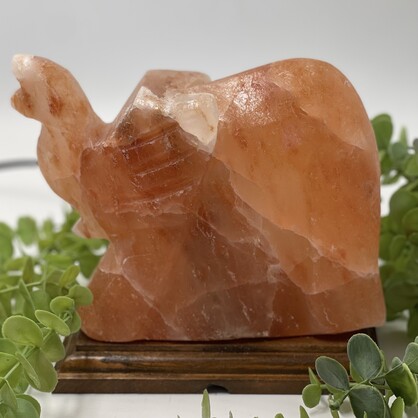 Elephant Salt Lamp