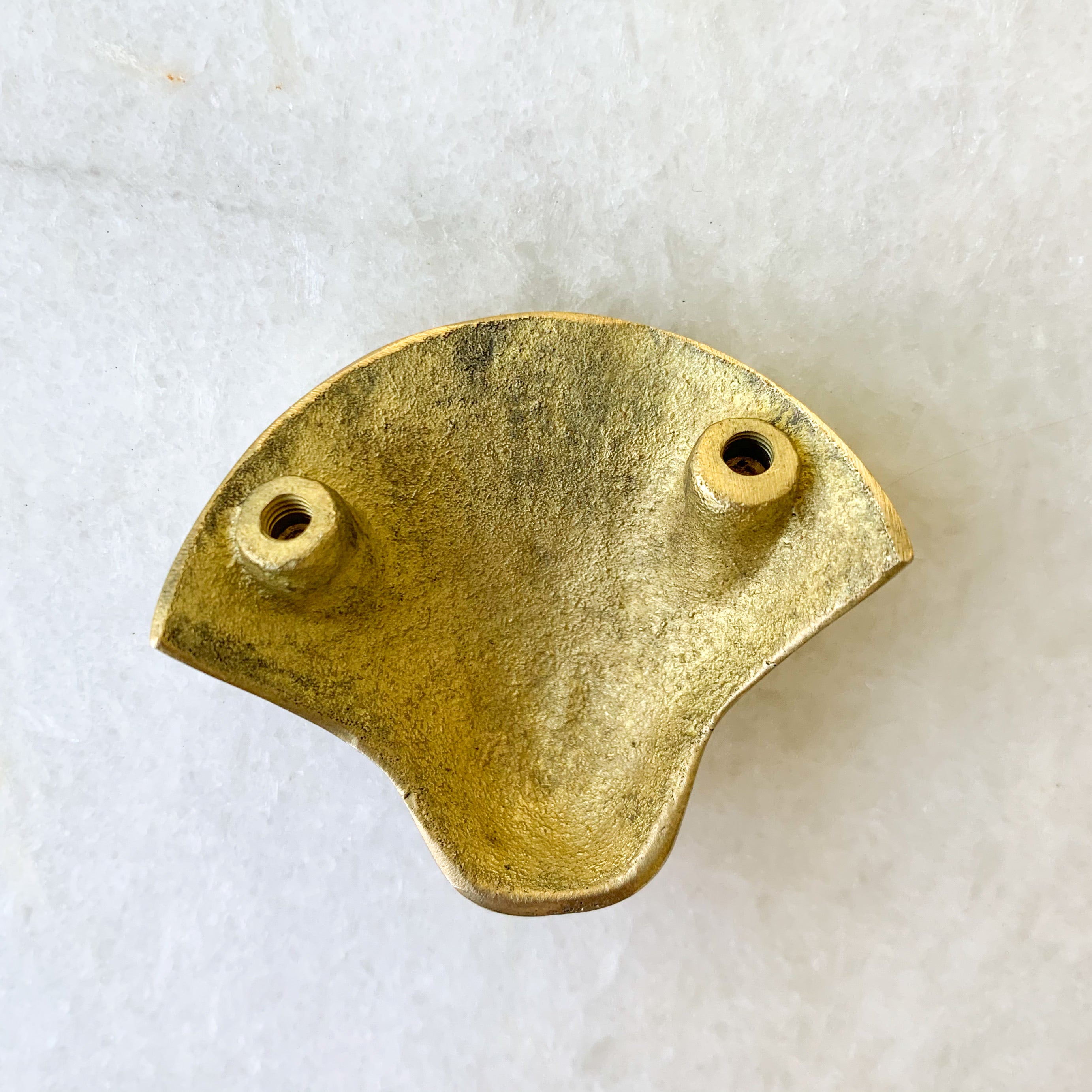 Wholesale Sea Shell Knob Ocean Luxe Fieldfolio