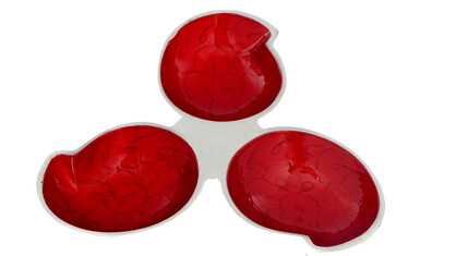 Meena 3 Part Mango Dish 12"